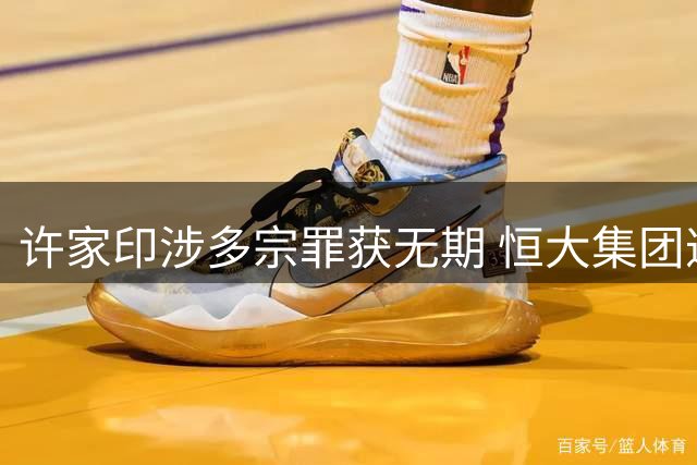许家印涉多宗罪获无期 恒大集团遭重罚
